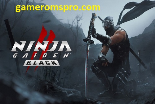 Ninja Gaiden 2: Black Rune Free Download