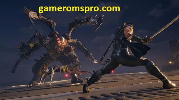 Ninja Gaiden 2: Black Rune Free Download
