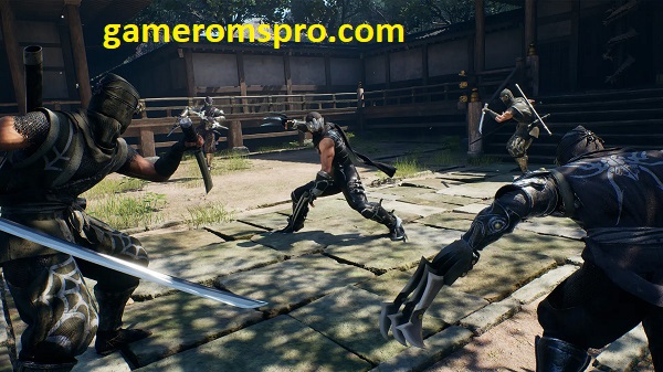 Ninja Gaiden 2: Black Rune Free Download